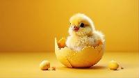 Jaloliddin