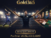 gold365blue
